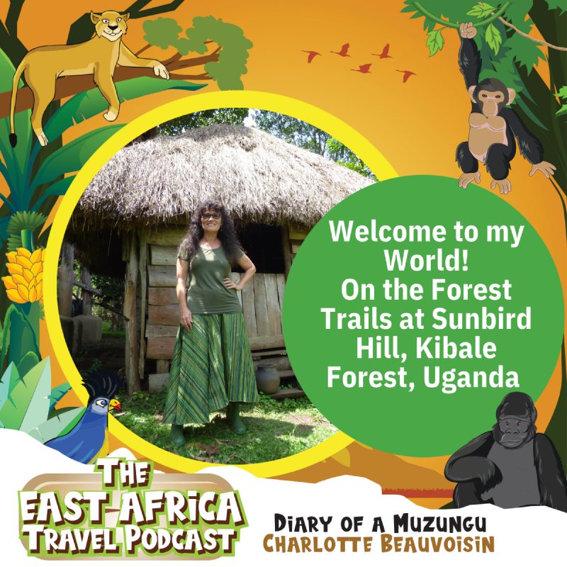 The East Africa Travel Podcast by Diary of a Muzungu