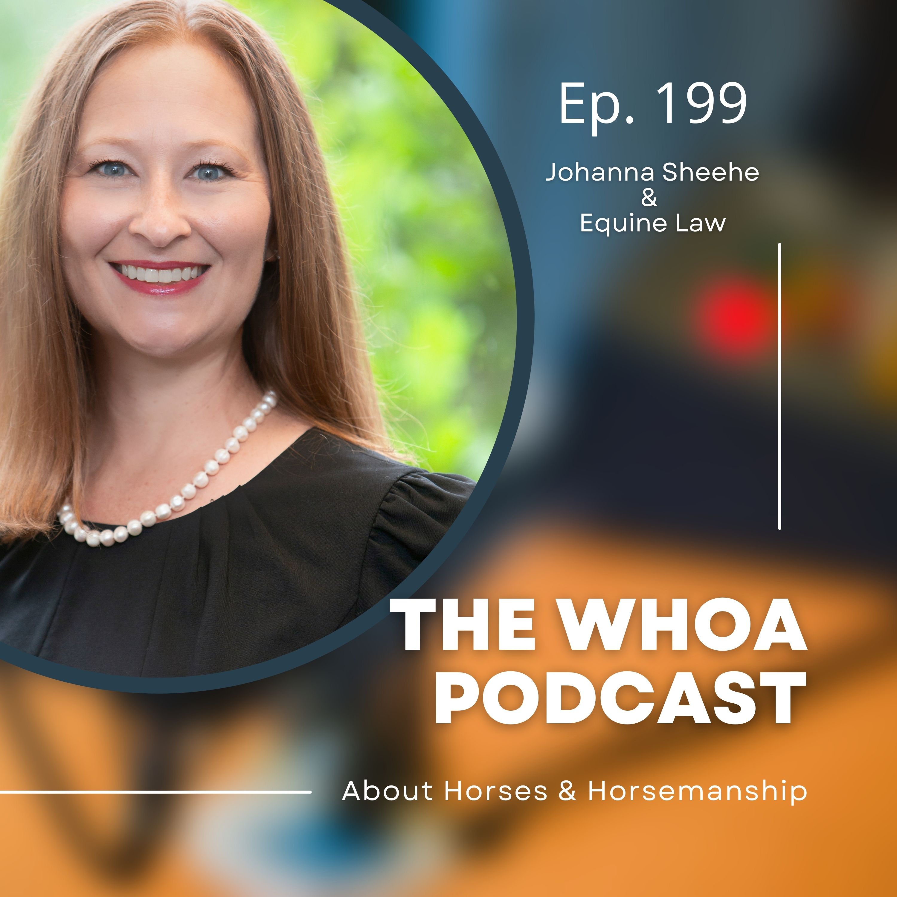 Johanna Sheehe and Equine Law