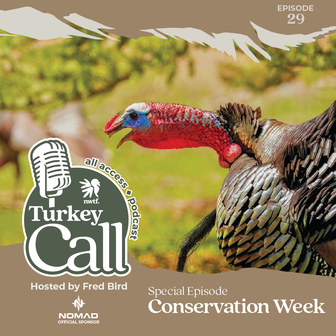 Turkey Call All Access