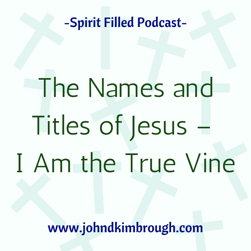 The Names and Titles of Jesus – I Am the True Vine Episode 99
