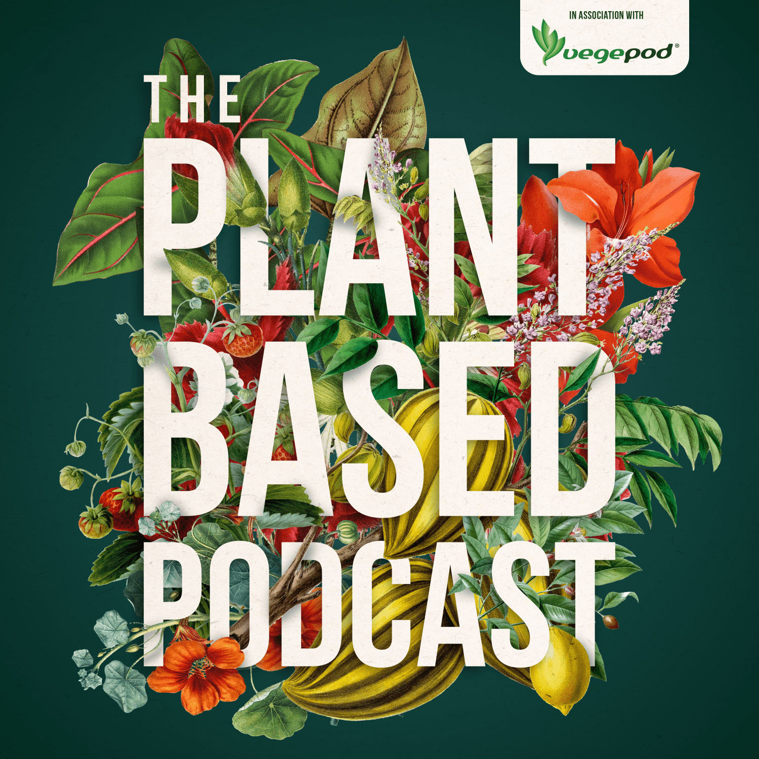 The Plant Based Podcast