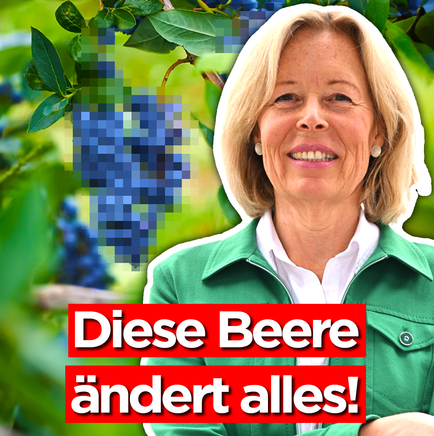 Gesundheit Ganzheitlich