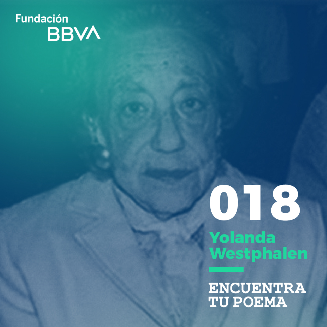 Fundación BBVA Perú