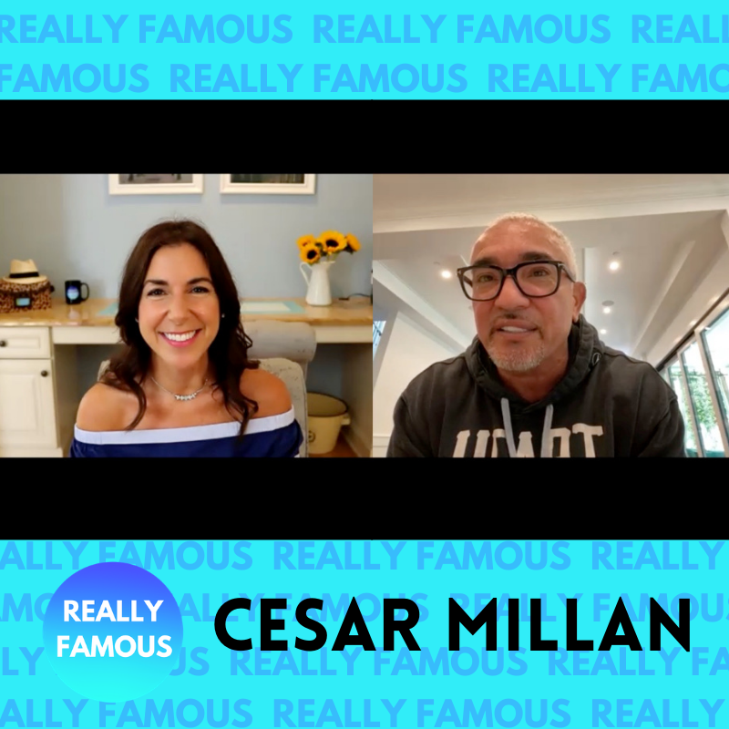 Cesar Millan returns!