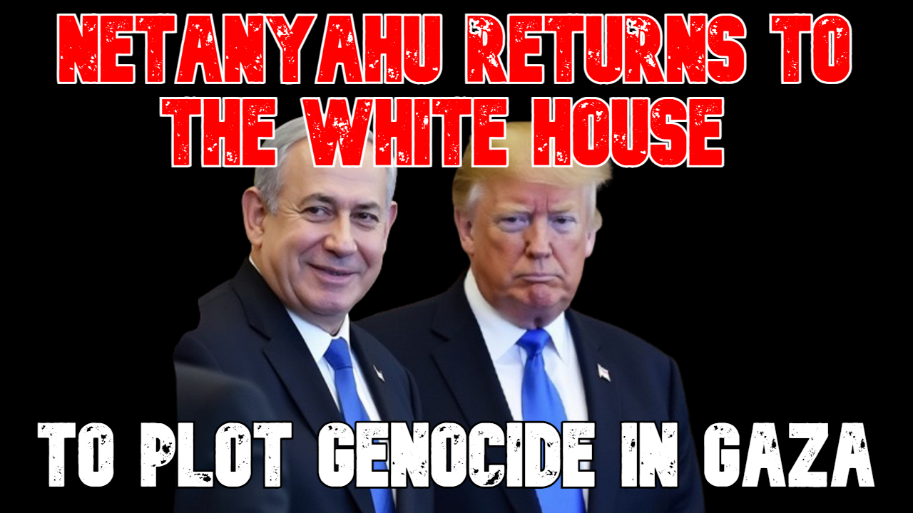 Conflicts of Interest