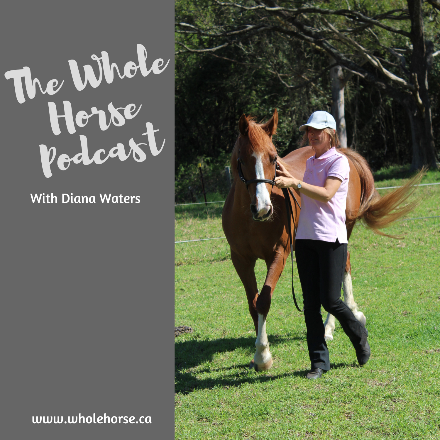 The Whole Horse Podcast with Alexa Linton