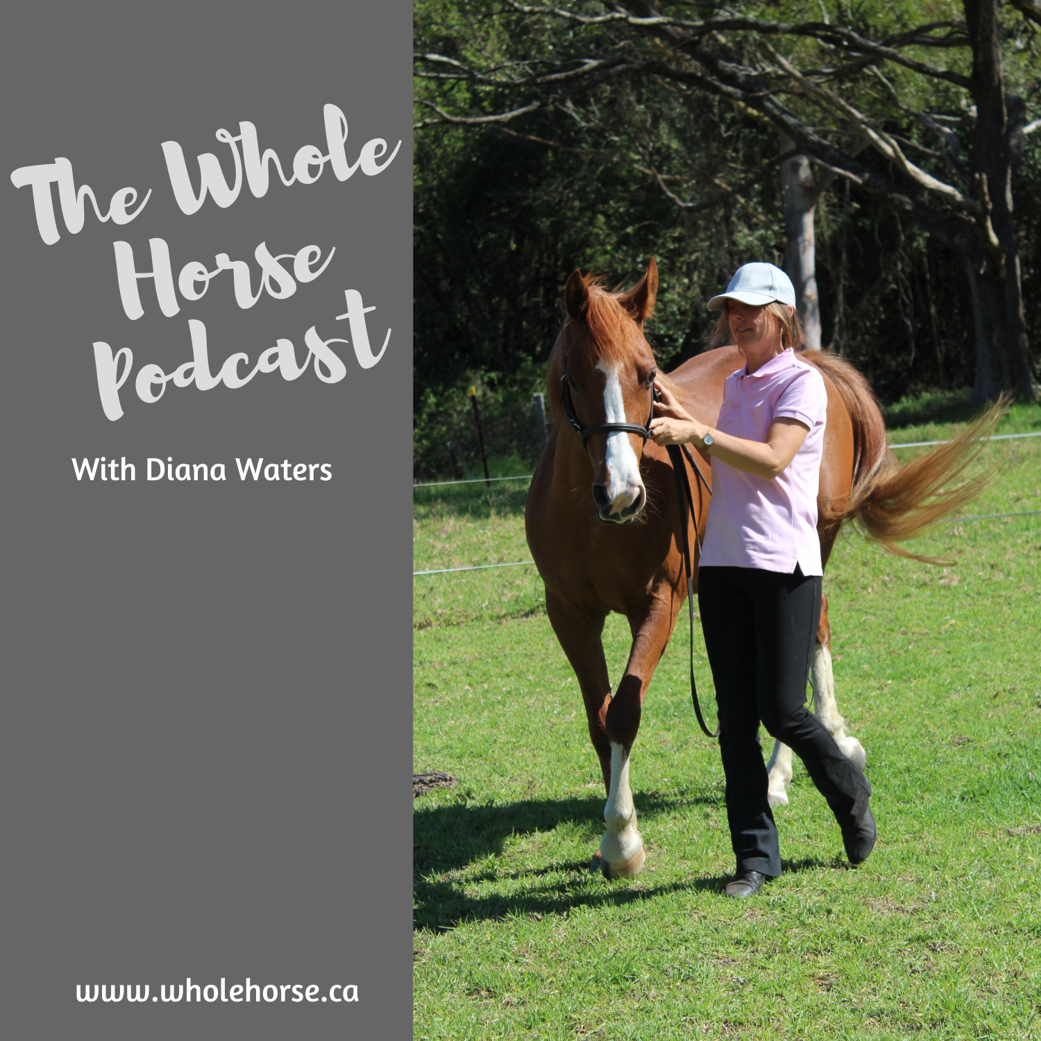 Whole Horse | Making the hardest choice with Diana Waters