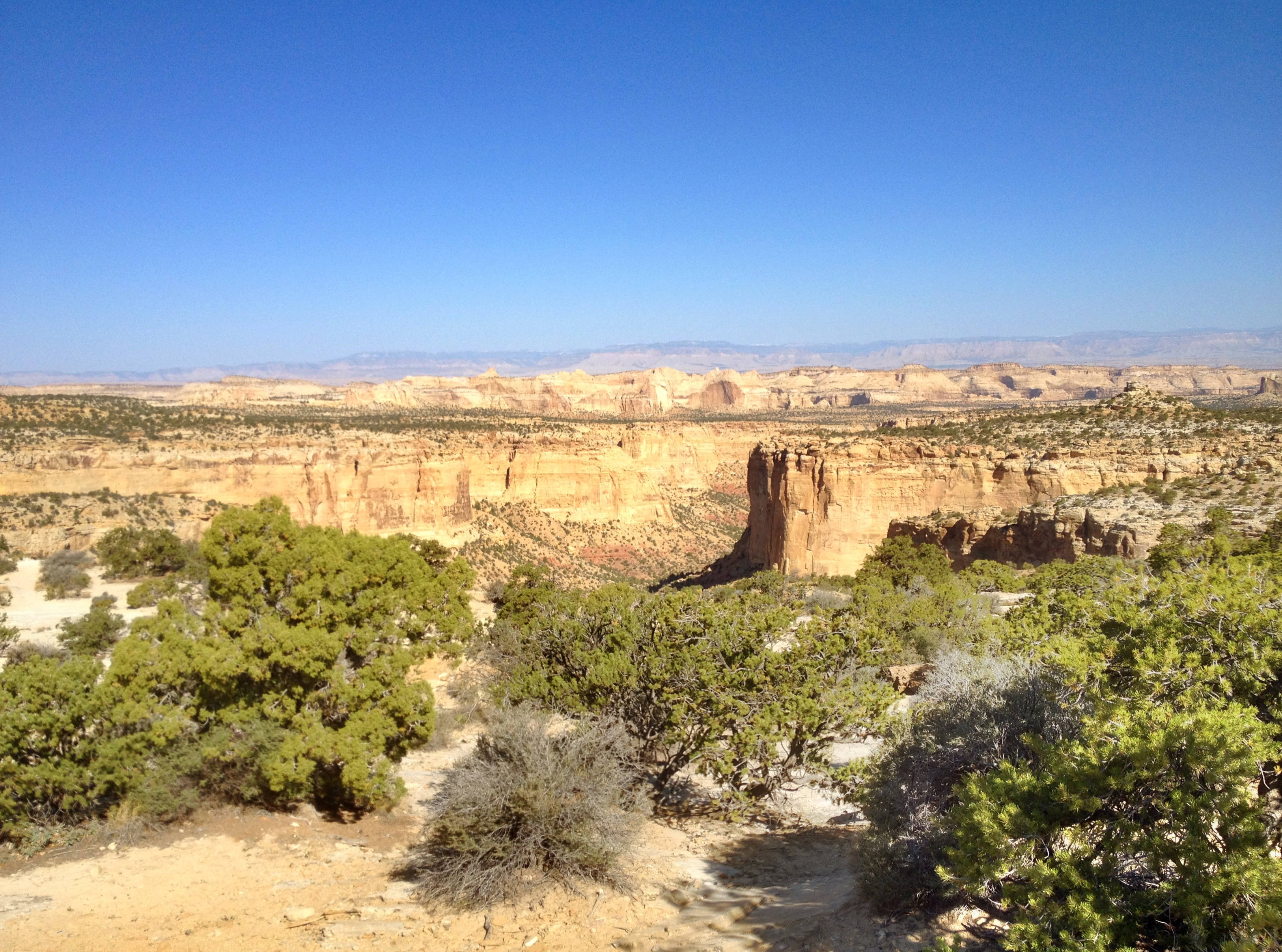 TWK Trucking with kingfish