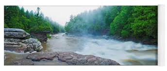 Wildfulness: On Nature, Wellness, and Life in the Allegany Highlands Deep Creek