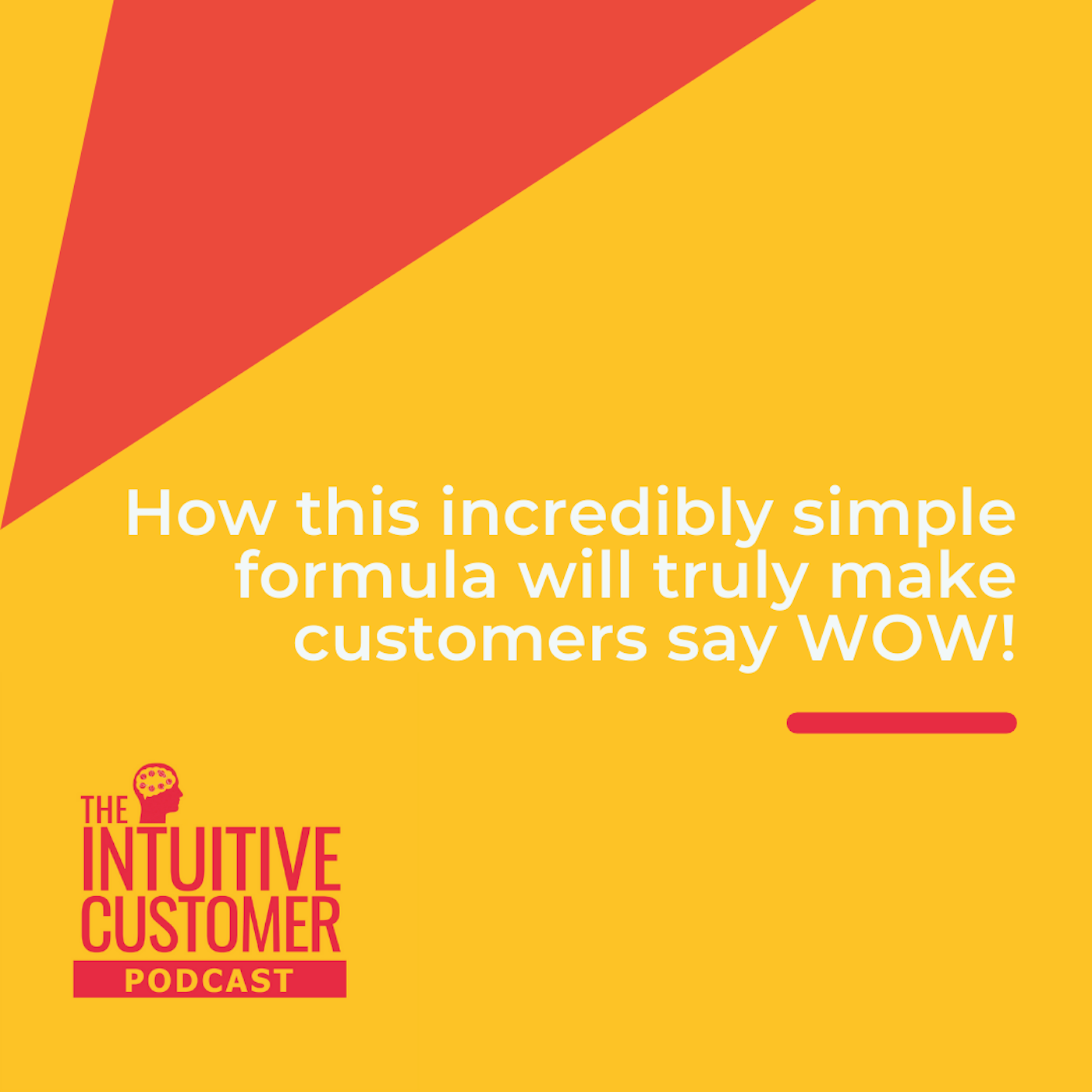 The Intuitive Customer - Helping You Improve Your Customer Experience To Gain Growth