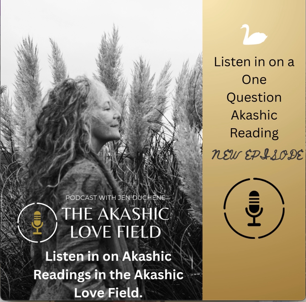 Akashic reading with Katie
