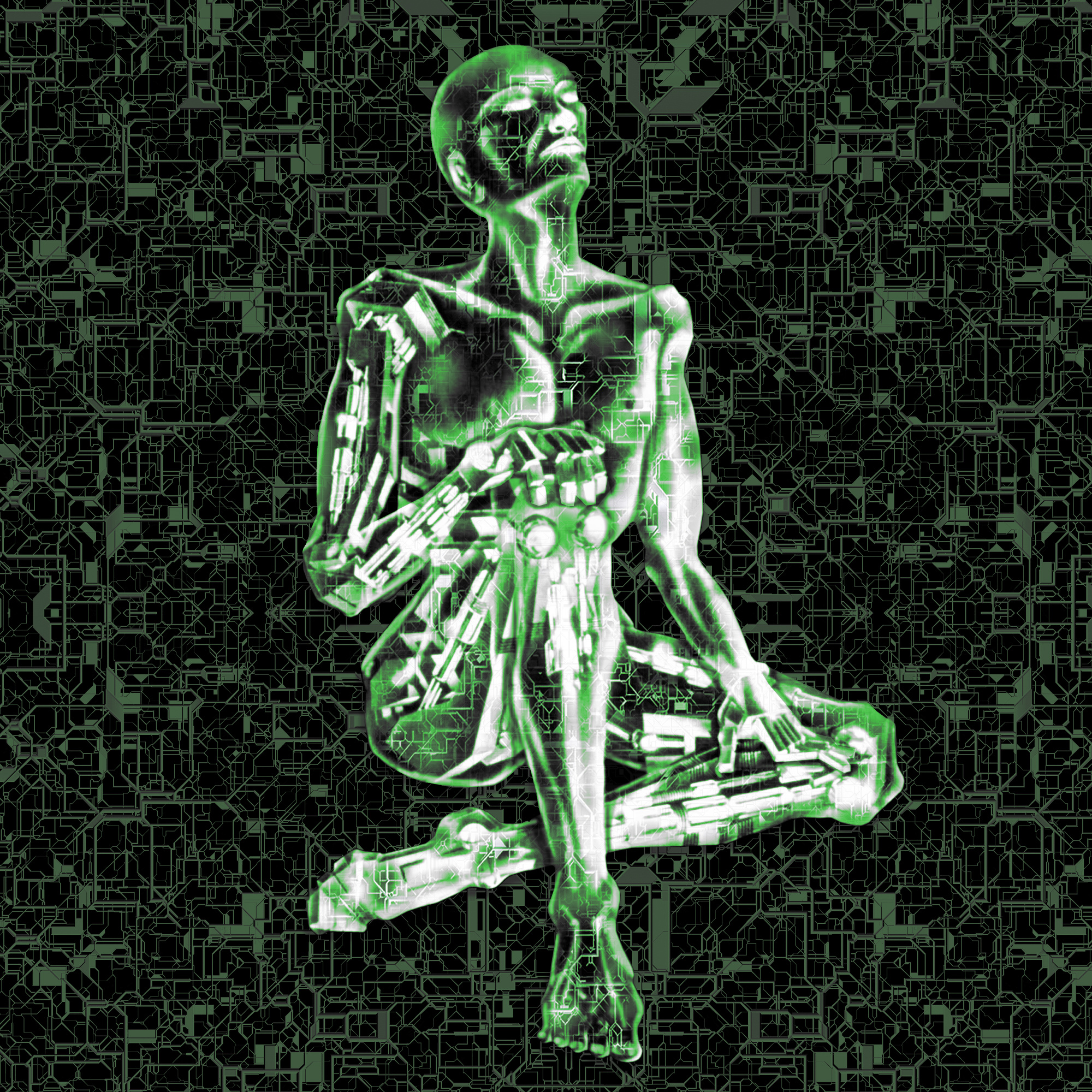#39 - Ghost in the Shell (1995) (攻殻機動隊)