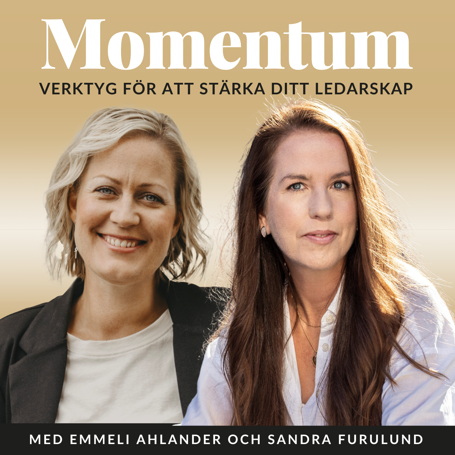 MOMENTUM – vision till verklighet, transformerande ledarskap och frihetsföretagande