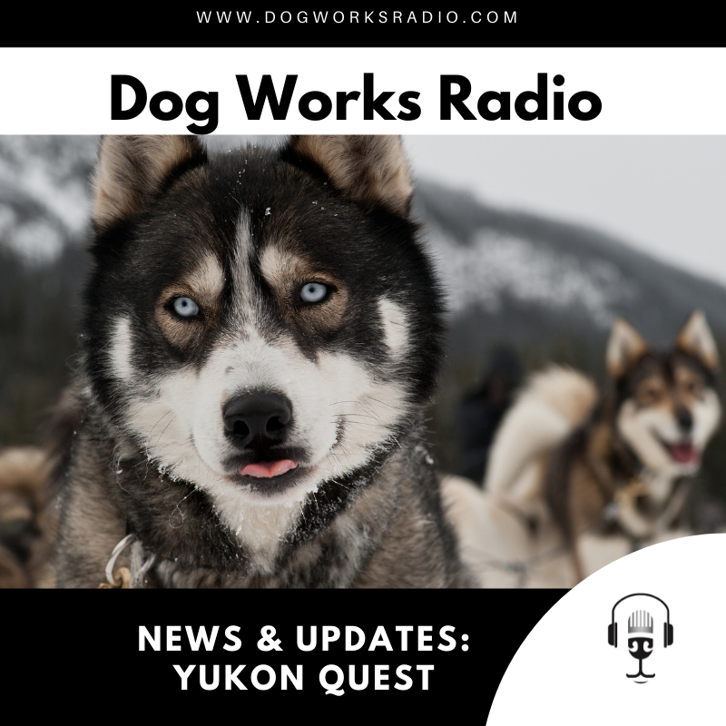 Yukon Quest: News and Updates