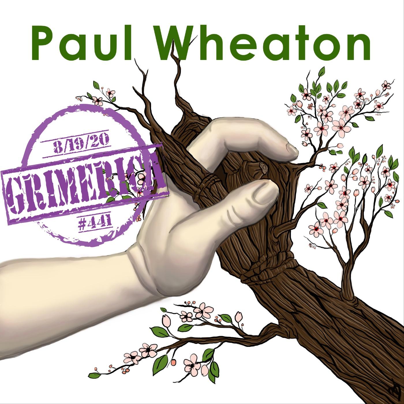 #441 - Paul Wheaton