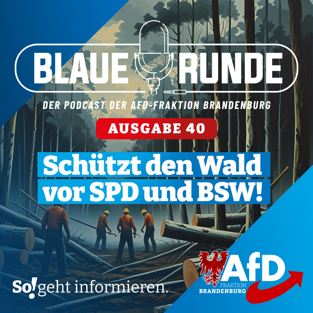 Die Blaue Runde - der Podcast der AfD-Fraktion Brandenburg