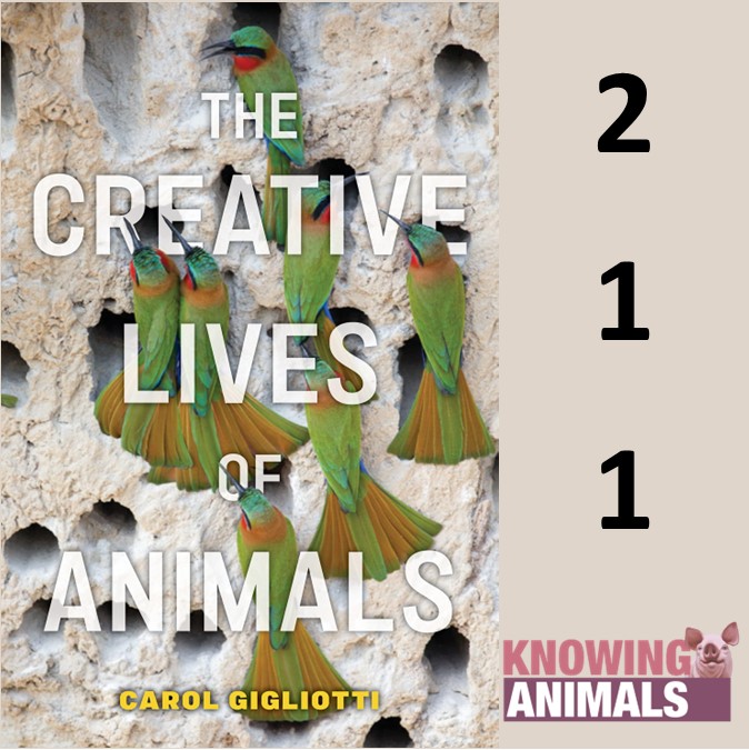 Knowing Animals