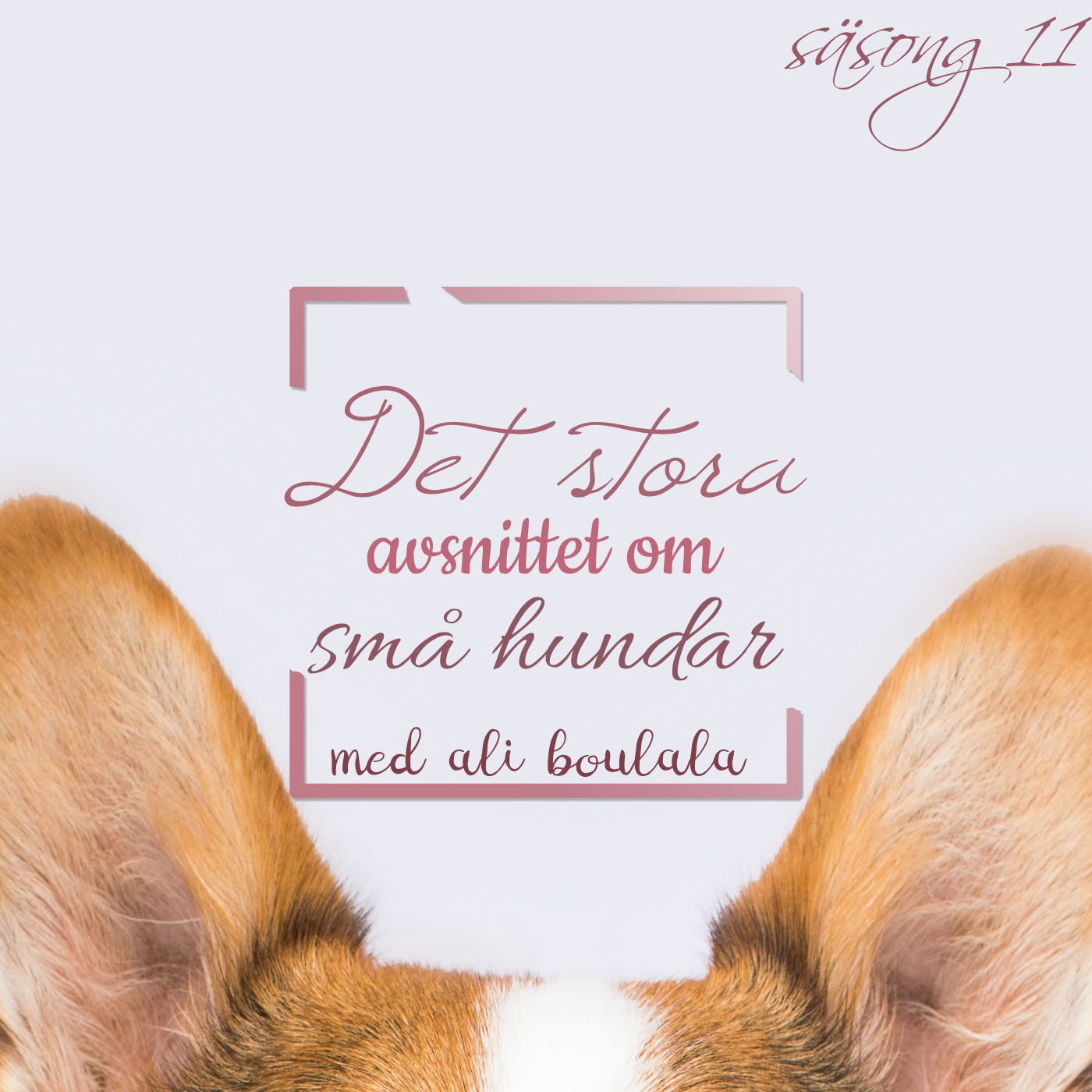 Hundpodden Vår Bästa Vän