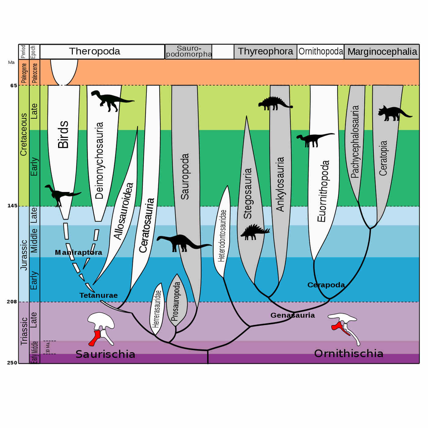 The Dinosaur Genome