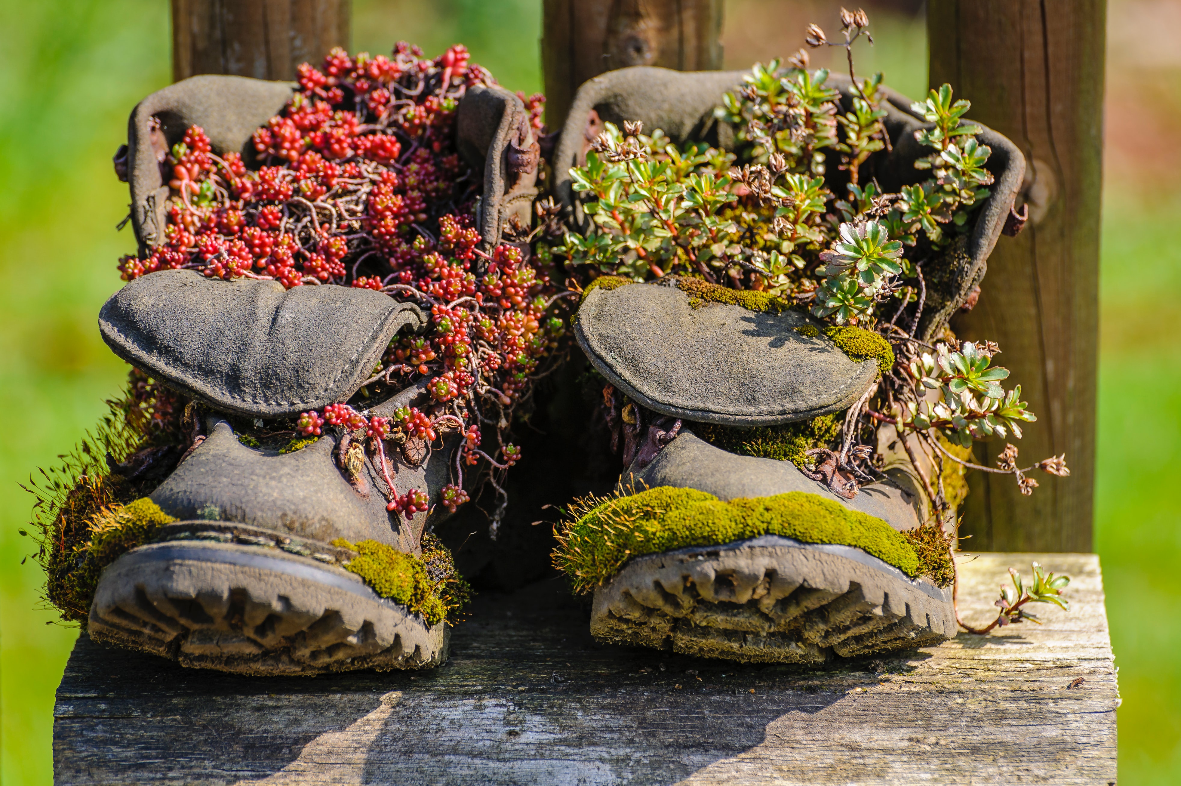 Episode 54: How Long Do Shoes Last?