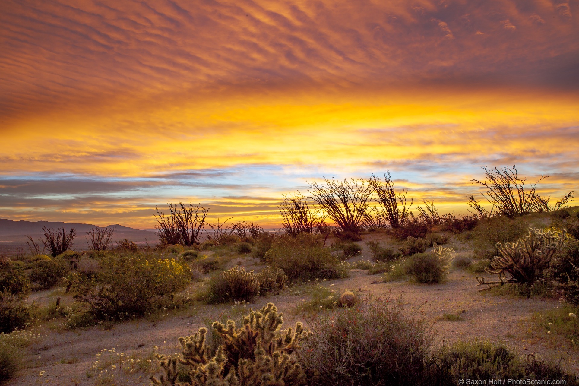 Why Does God Send Christians Into The Desert Wilds? #100 Reading Matthew 4 Why Does God Send Christians Into The Desert Wilds? #100 Reading Matthew 4