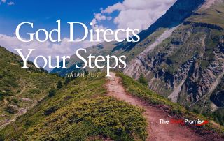 God Directs Your Steps