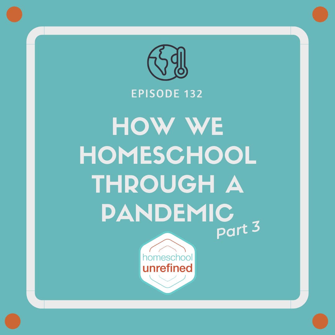 132: How We Homeschool Through a Pandemic, Part 3
