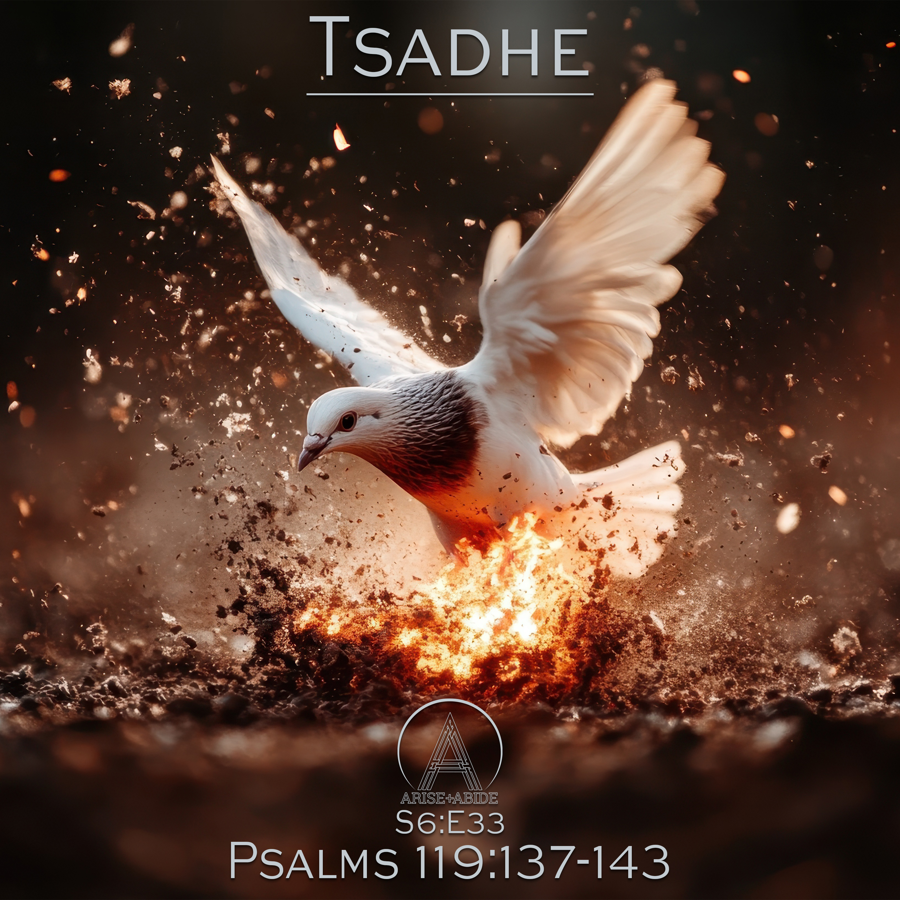 Arise and Abide