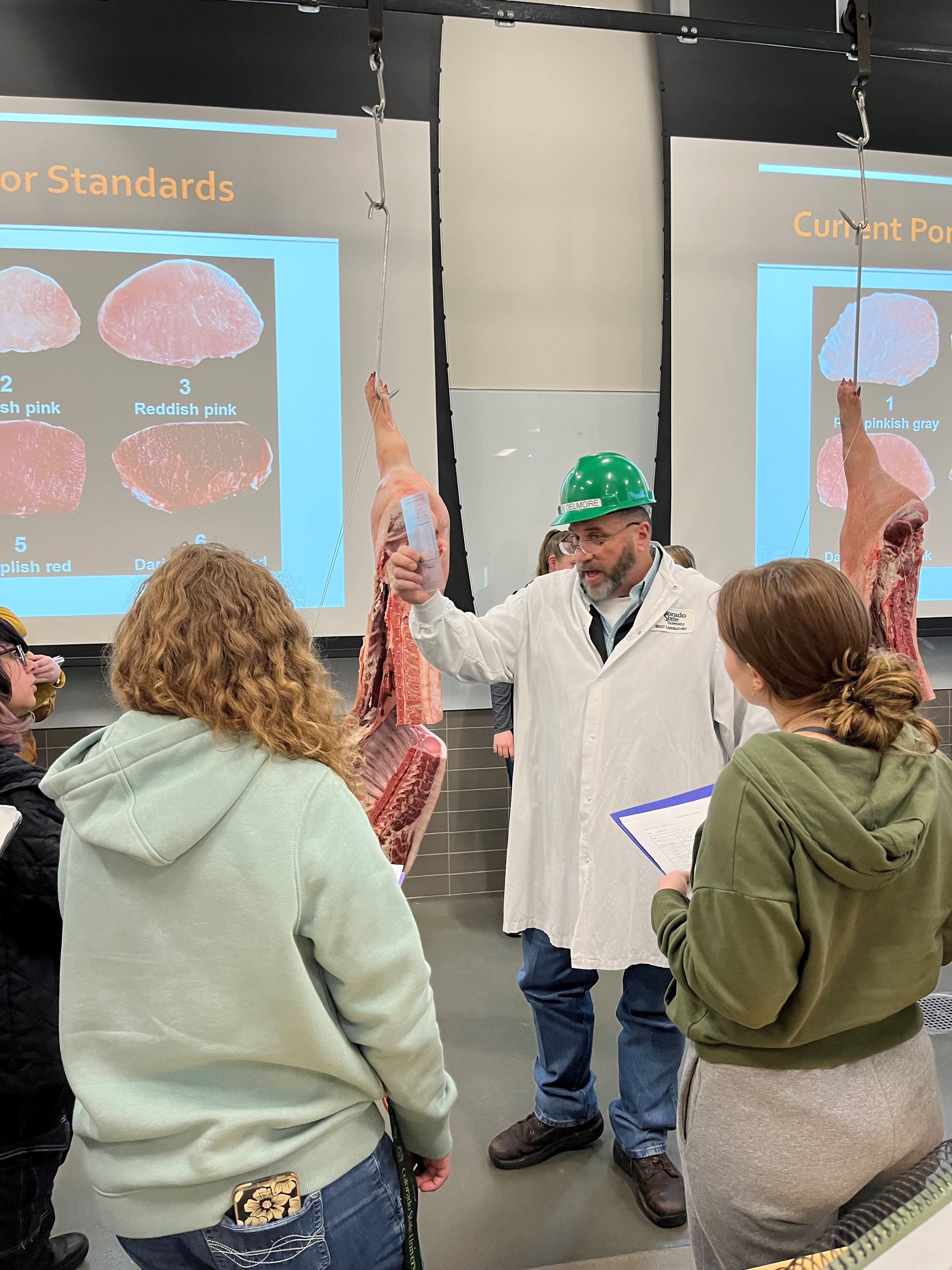 cover of episode 423 Dr. Bob Delmore meaty solutions