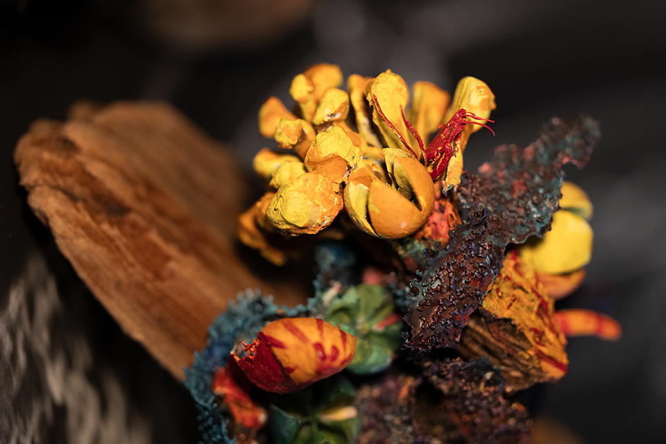 Marcie Begleiter on artist residencies, working with nature, leaving big cities, and much more