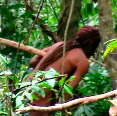Mongabay Newscast