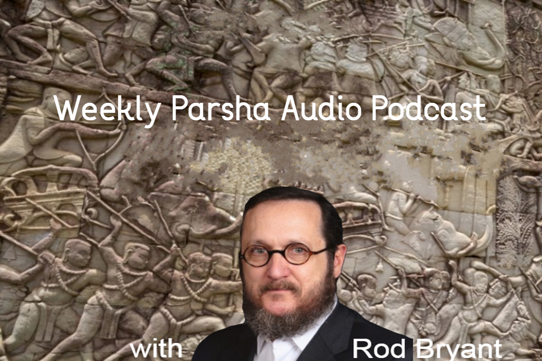 Parashat Matot Massei Elevating Speech - Rod Bryant