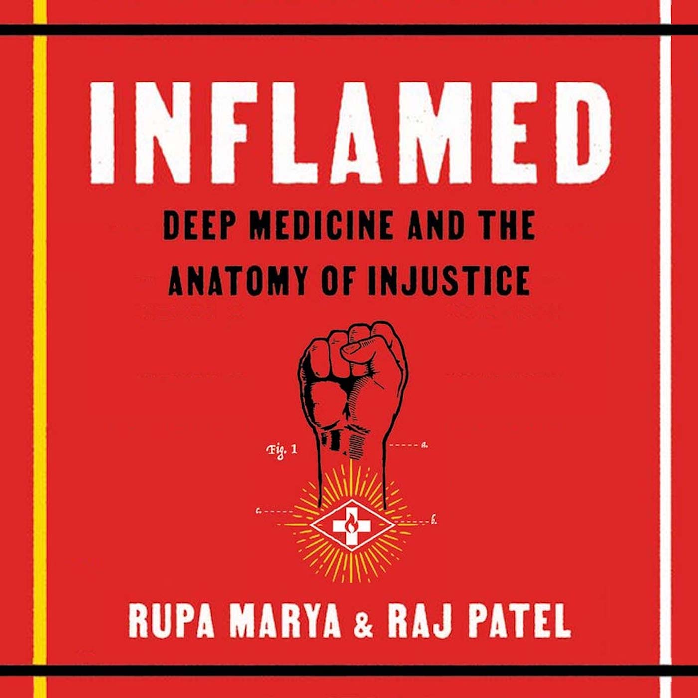 Deep Medicine with Rupa Marya, MD and Raj Patel