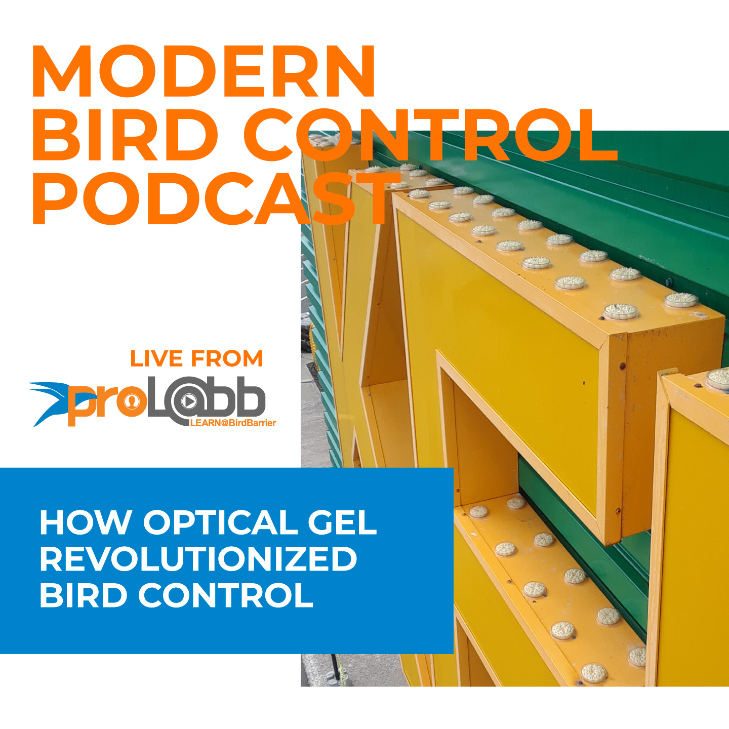 Episode: How Optical Gel Revolutionized Bird Control
