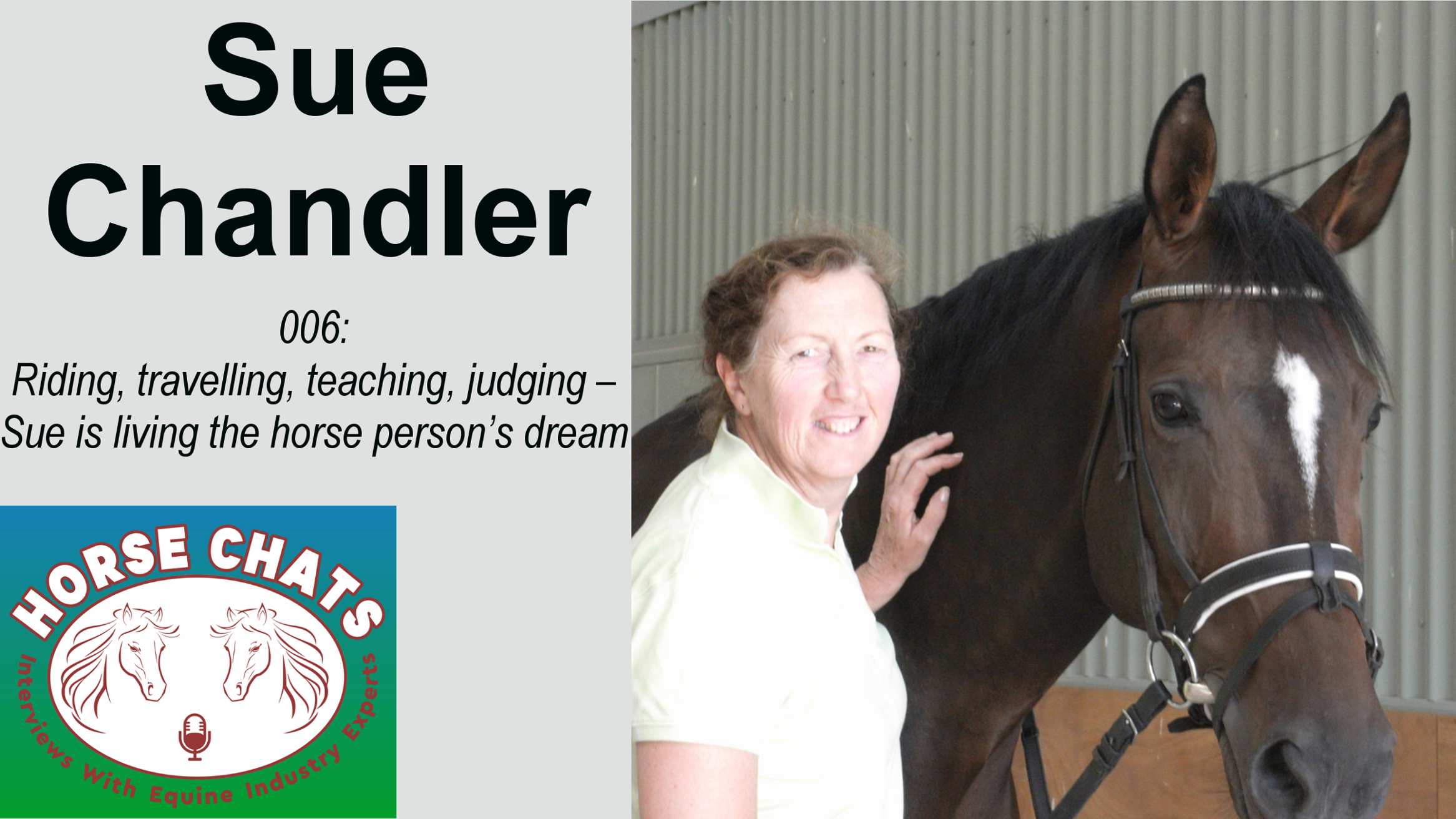 0006: Sue Chandler - Riding, travelling, teaching, judging - Sue is living the horse person's dream