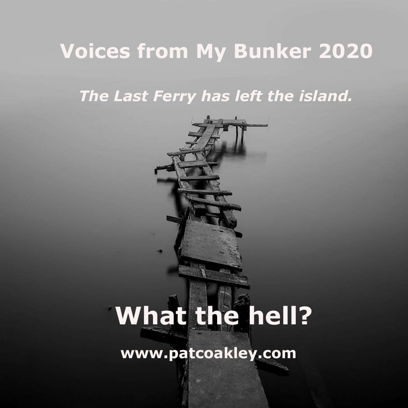 Voices from my Bunker 2020