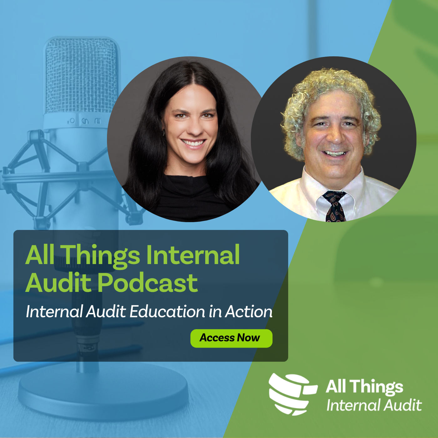 All Things Internal Audit