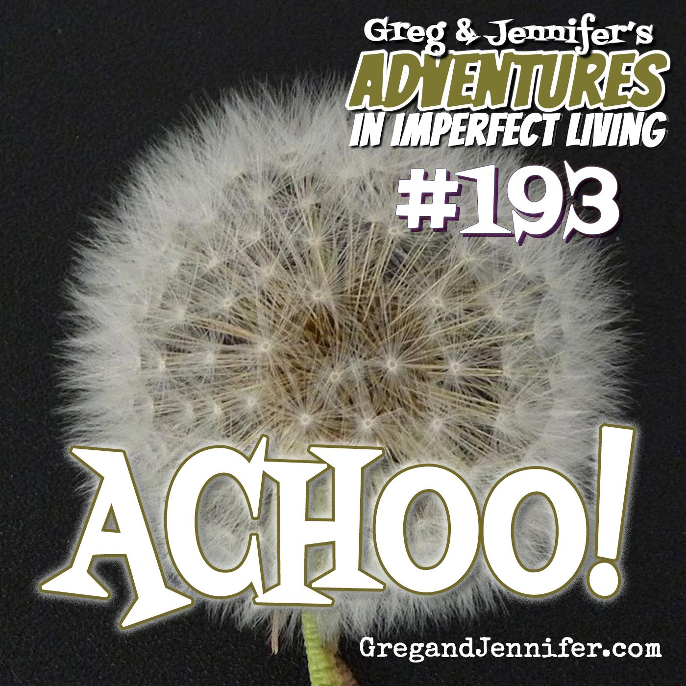 Adventures #193: Achoo!