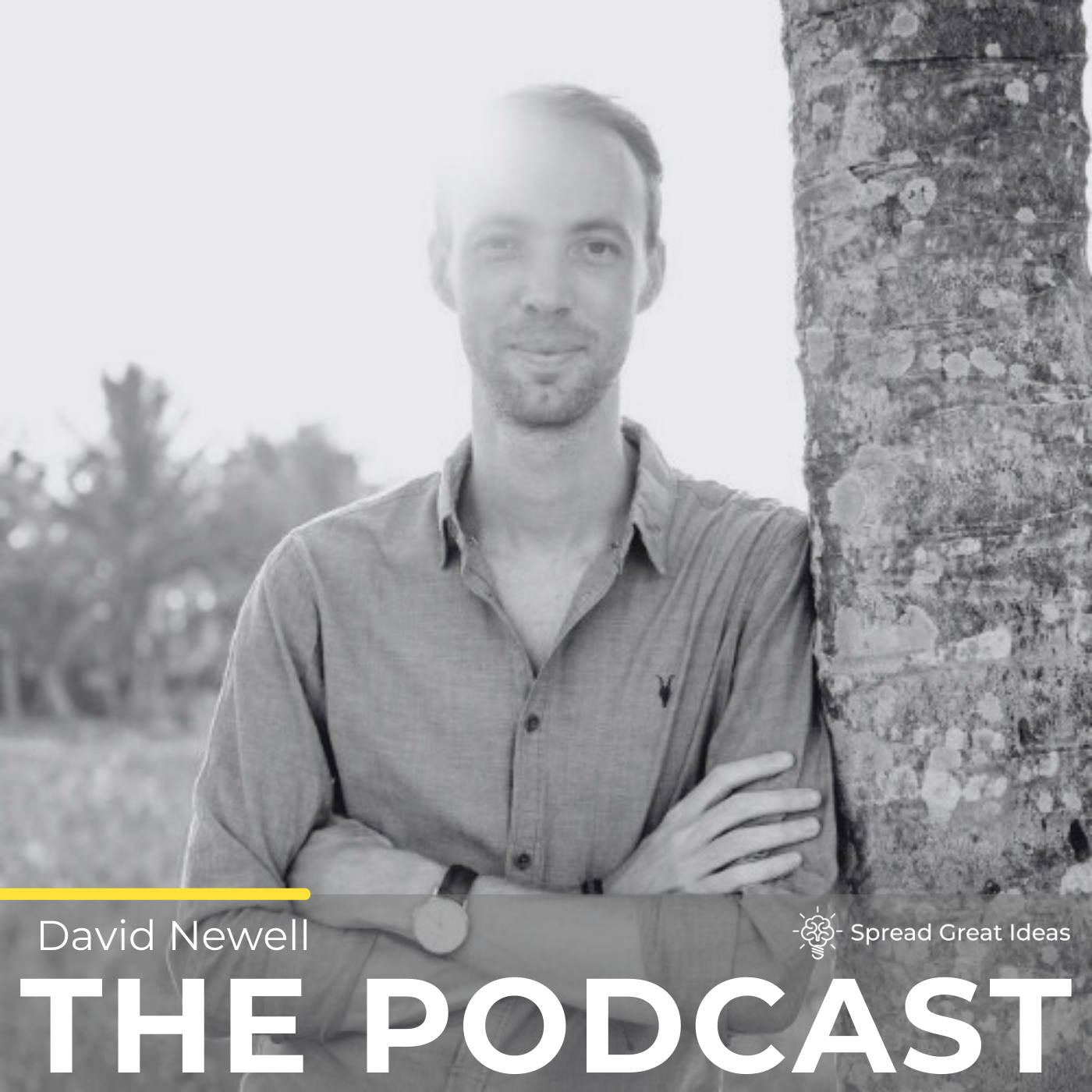 Spread Great Ideas: The Podcast