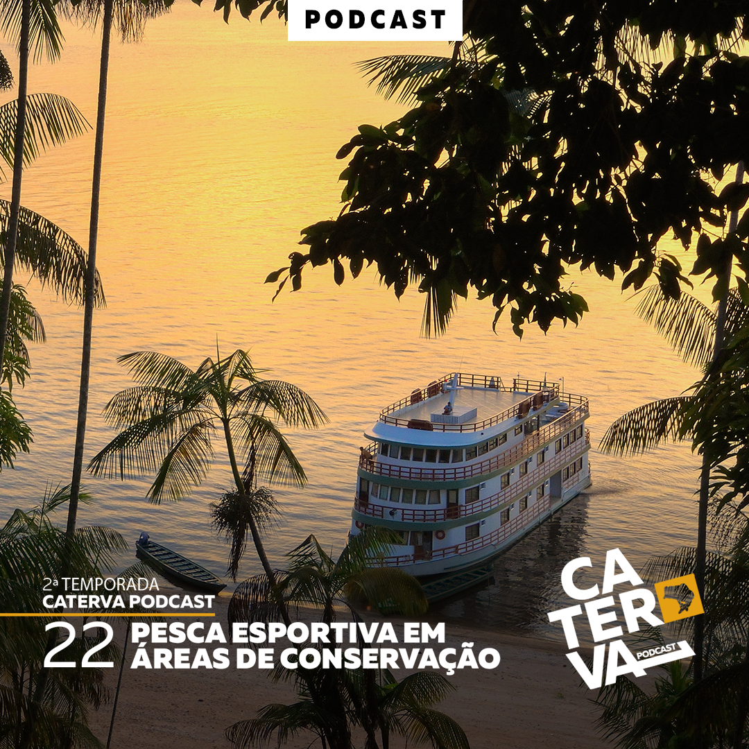 Caterva Podcast
