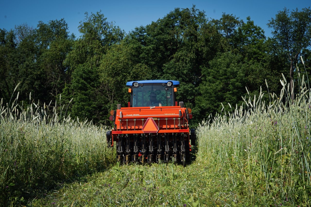 Drill Baby Drill: Set Up Your Drill for a Perfect Food Plot