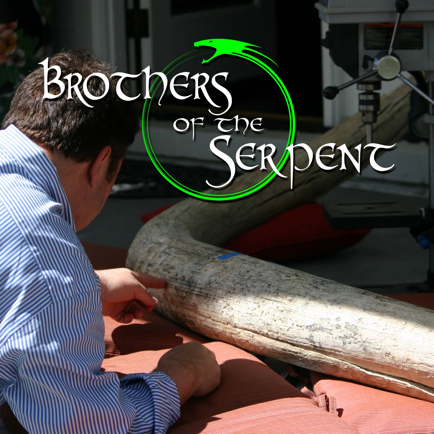Brothers of the Serpent
