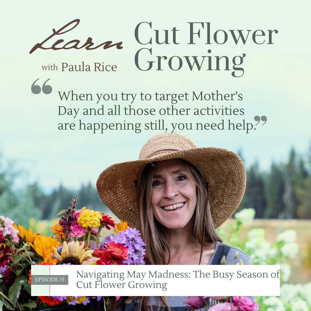cover of episode 015: Navigating May Madness: The Busy Season of Cut Flower Growing