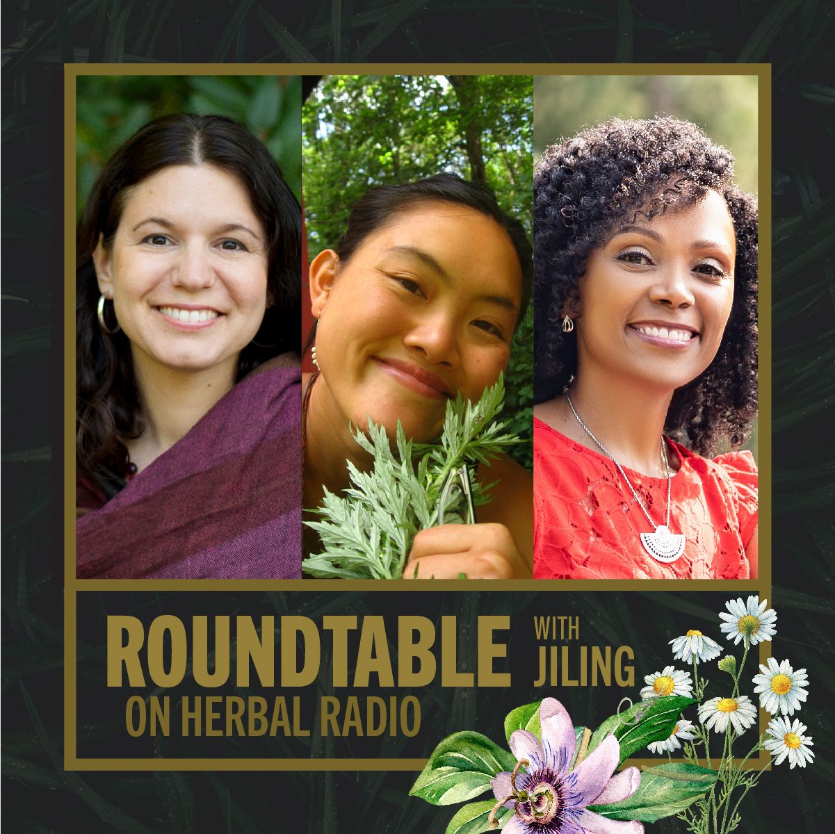 Herbal Remedies for Sleep | Tea Talks Roundtable