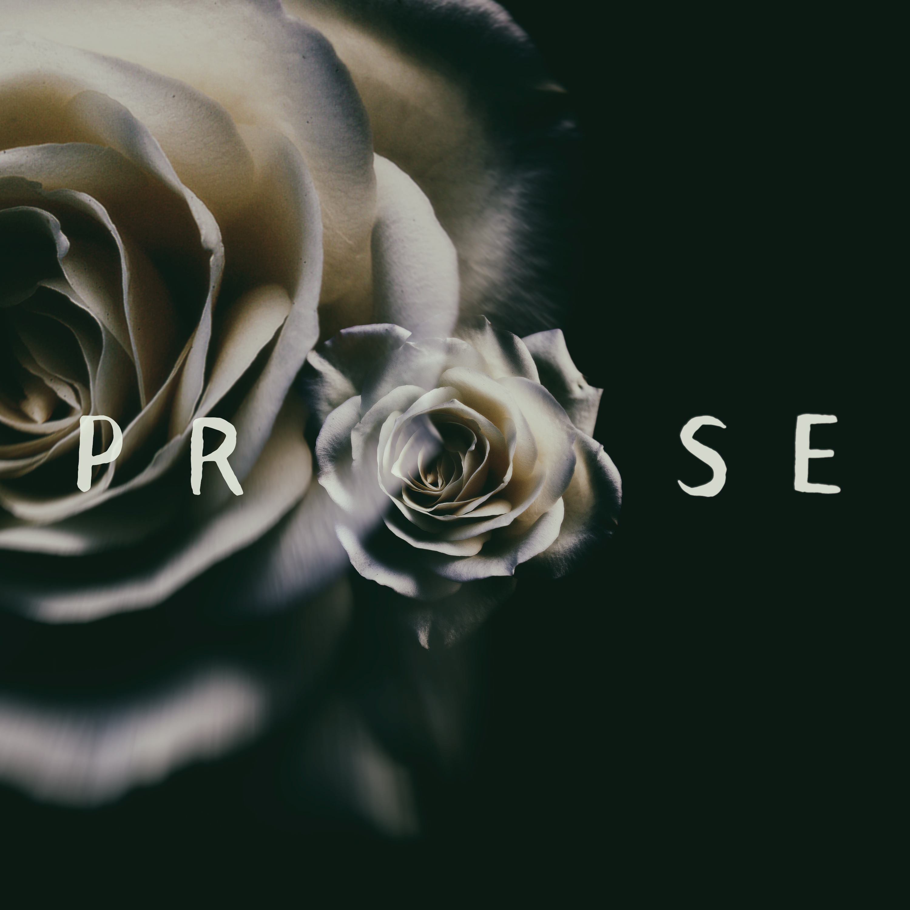Prose