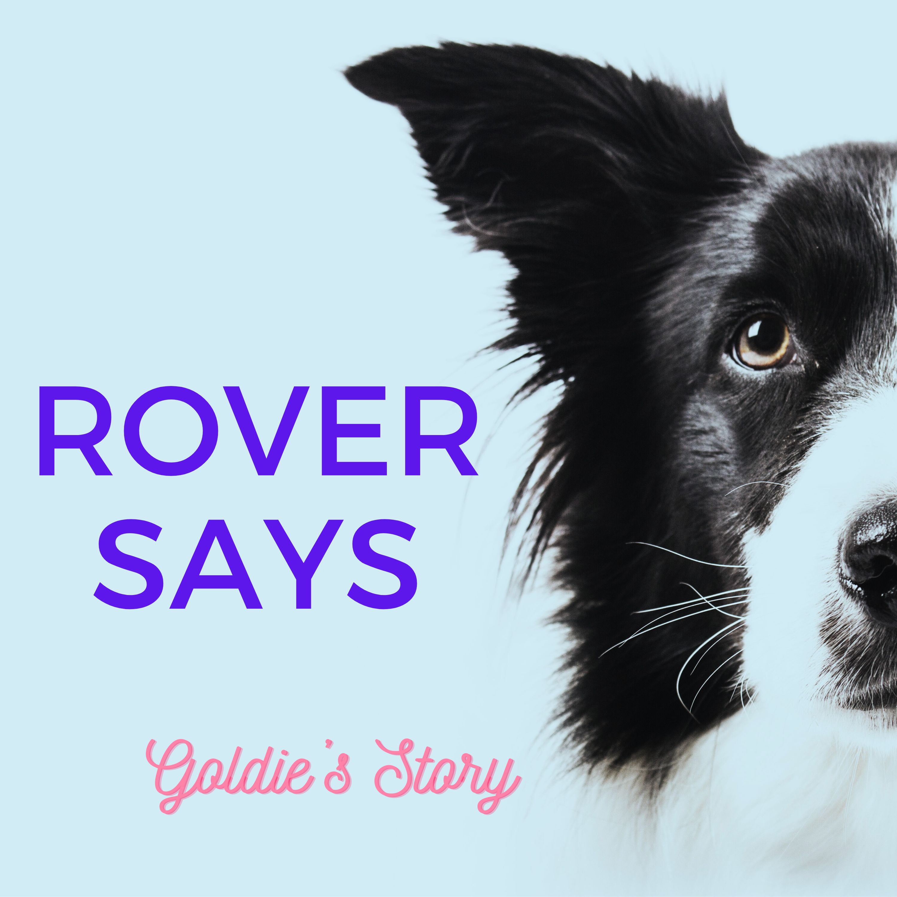 Rover Says