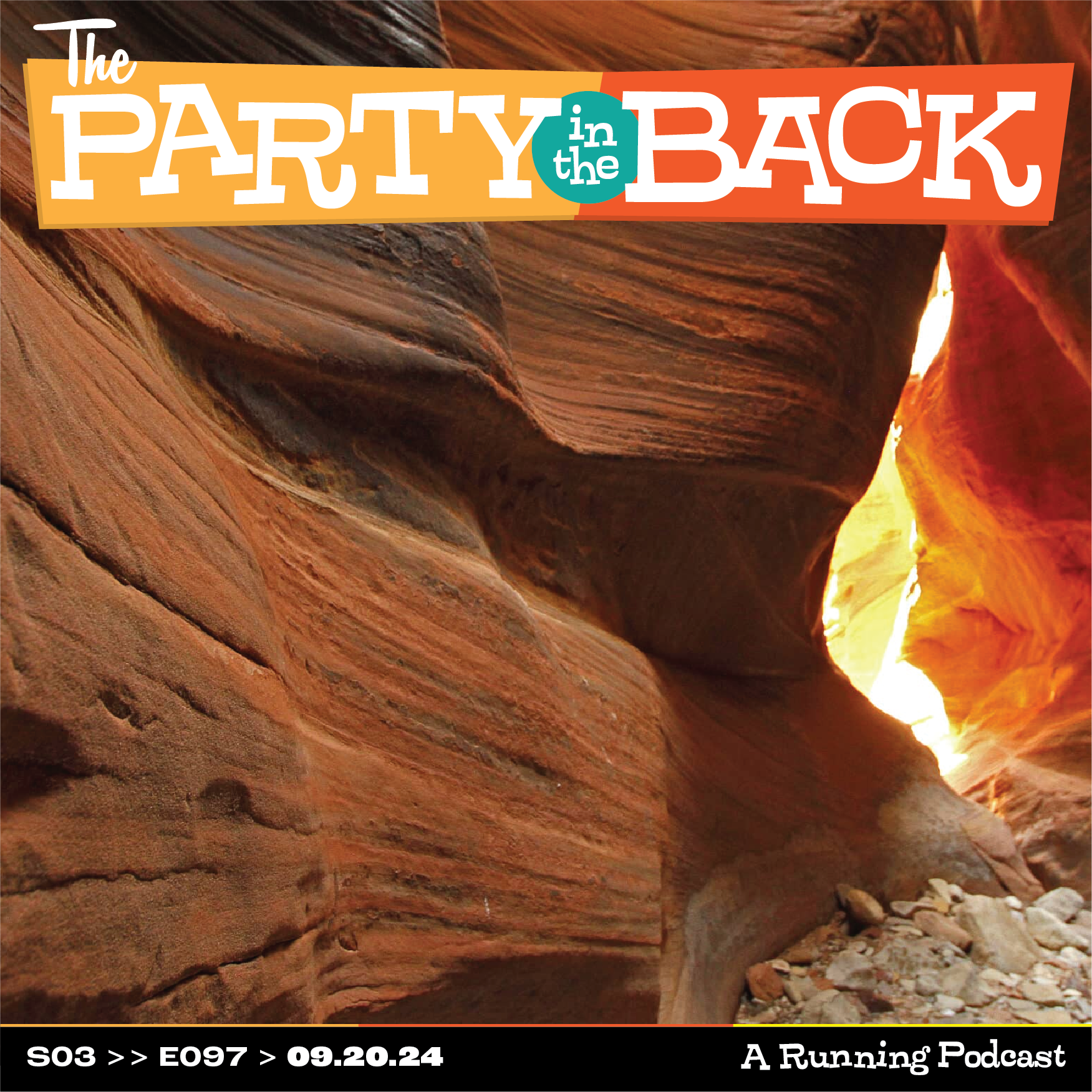 The Party in the Back
