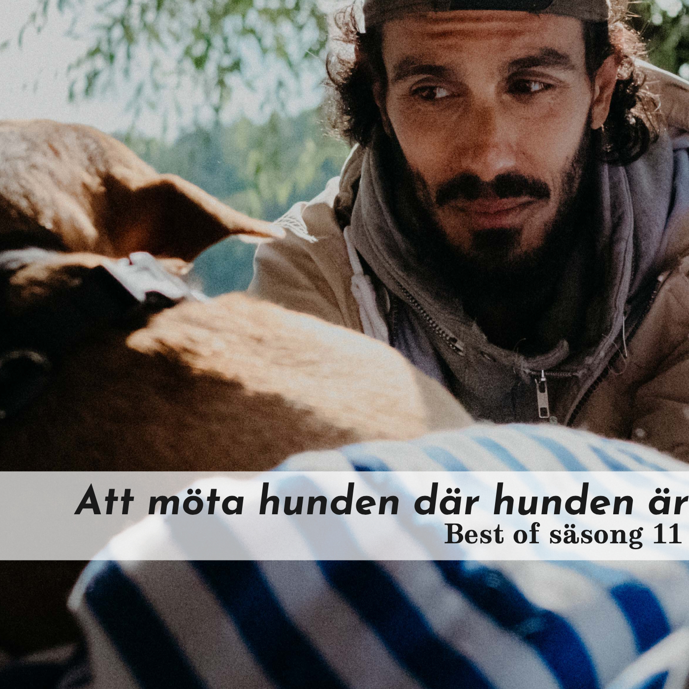 Hundpodden Vår Bästa Vän