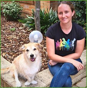 Animal Training Academy: Making Ripples