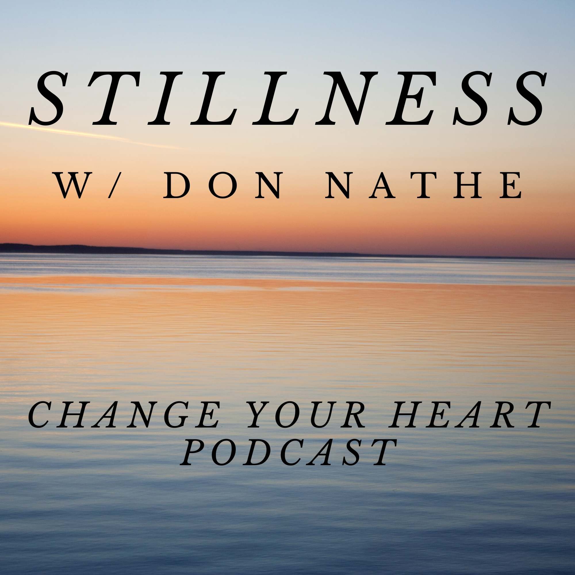 022 STILLNESS with Don Nathe